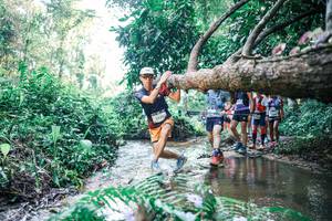 BIB: 
                            <button type="button" onclick="openModal(25443767)" class="btn btn-primary btn-sm float-right btn-popup" data-toggle="modal" data-target=".modal-high-quality">
                        <i class="fas fa-shopping-cart"></i> Add to Cart
                    </button>
                                            <button type="button" onclick="isThisMe(25443767, true)" class="btn btn-success btn-sm float-right btn-popup btn-isme hidden" data-toggle="tooltip" data-placement="bottom" title="นี่คือรูปของคุณใช่ไหม คลิกที่นี่เพื่อเอาเข้าอัลบั้ม">
                        <i class="fas fa-plus"></i> Add to album
                    </button>
                    <button type="button" onclick="isThisMe(25443767, false)" class="btn btn-warning btn-sm float-right btn-popup btn-isnotme hidden">
                        <i class="fas fa-ban"></i> Remove from album
                    </button>